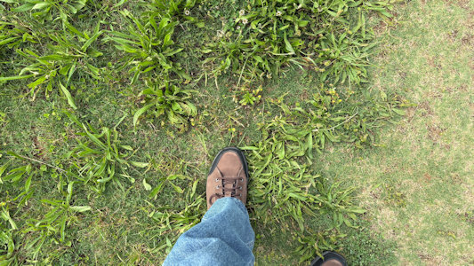 State Park Image